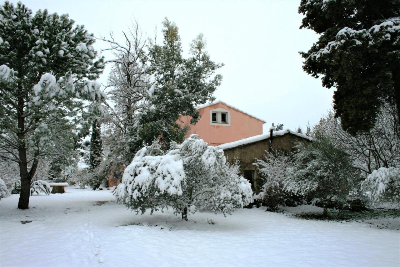 Le Mas De La Cigale Bleue, Caumont Sur Durance Экстерьер фото