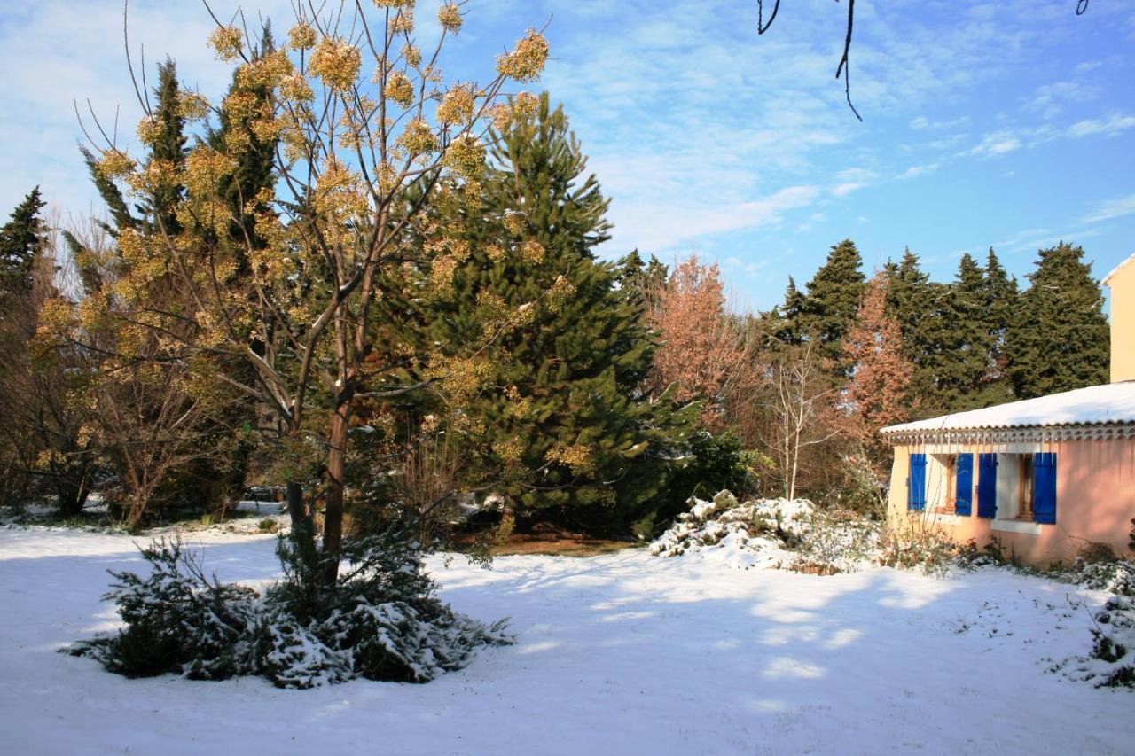 Le Mas De La Cigale Bleue, Caumont Sur Durance Экстерьер фото