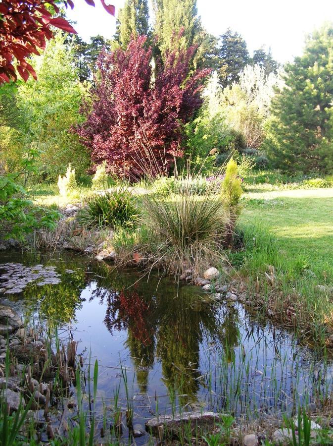 Le Mas De La Cigale Bleue, Caumont Sur Durance Экстерьер фото