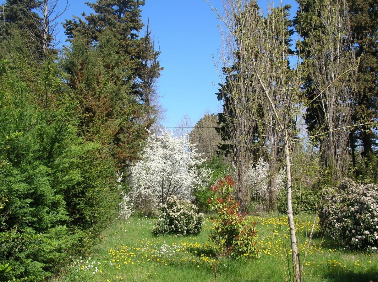 Le Mas De La Cigale Bleue, Caumont Sur Durance Экстерьер фото